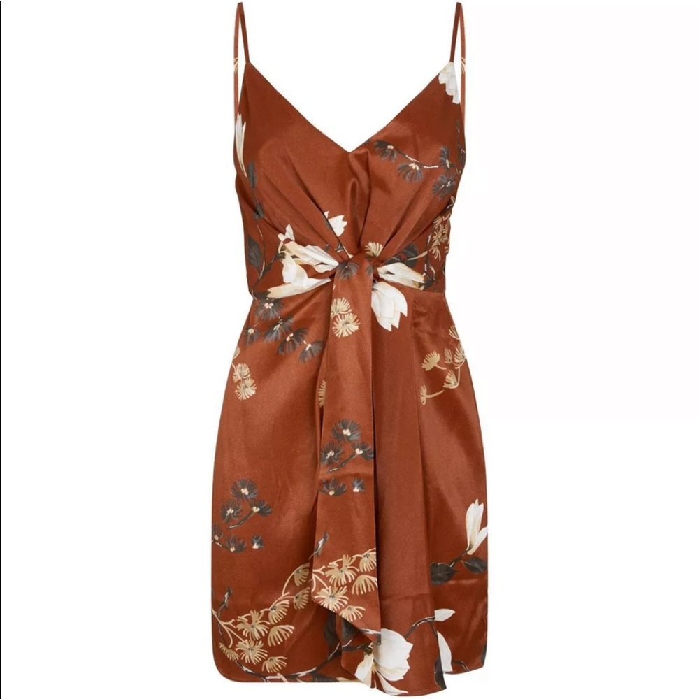 Shona Joy Floral Mini Dress in Rust and Cream